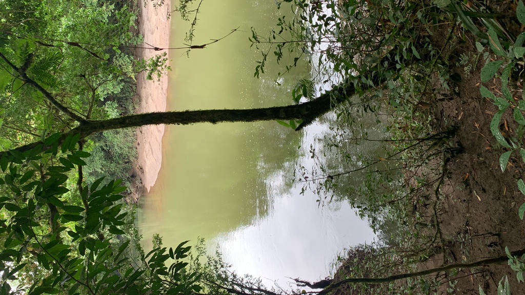 Paisaje natural de Tropifauna